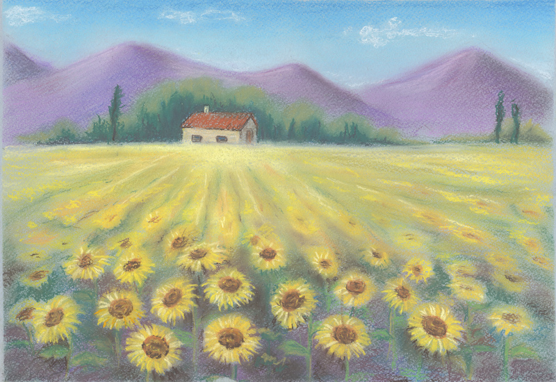 09-French-sunflowers