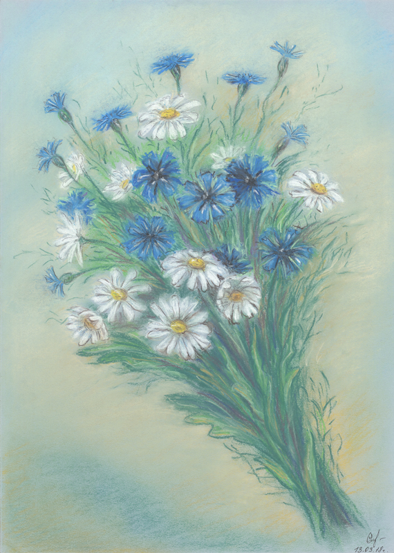11-Daisies