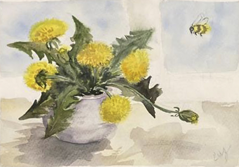 28-Dandelions